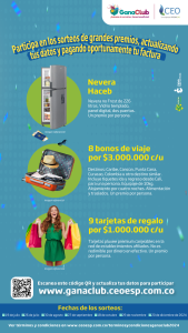 Vista en miniatura